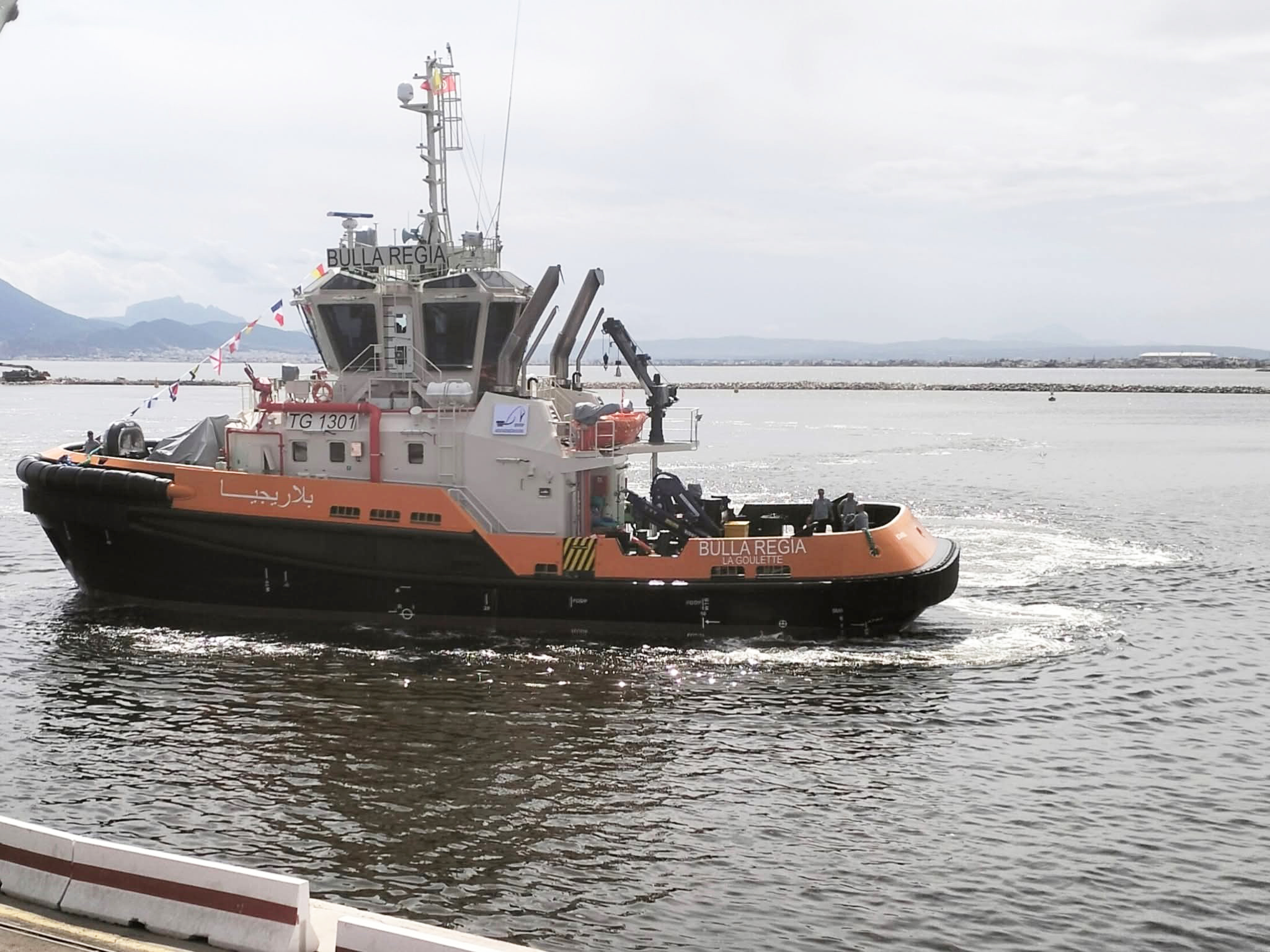 «بلاريجيا».. «الجم».. «أوذنة».. «دقّة».. «مكتريس» و«كركوان»..   6 جرارات بحرية جديدة تعزز أسطول الموانئ التونسية